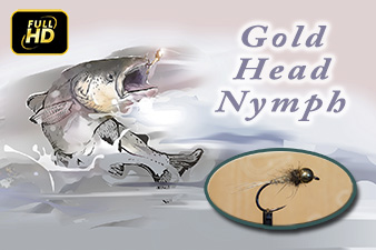 Gold Head Nymph