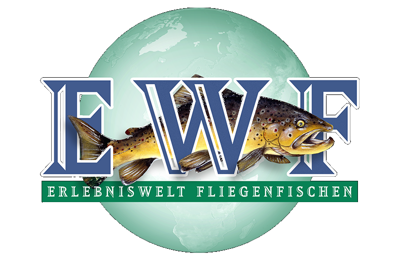 Част от фотографския екип на EWF 2016