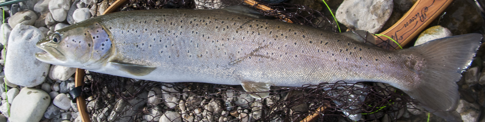 Rosen-fly-fishing-blog-00014