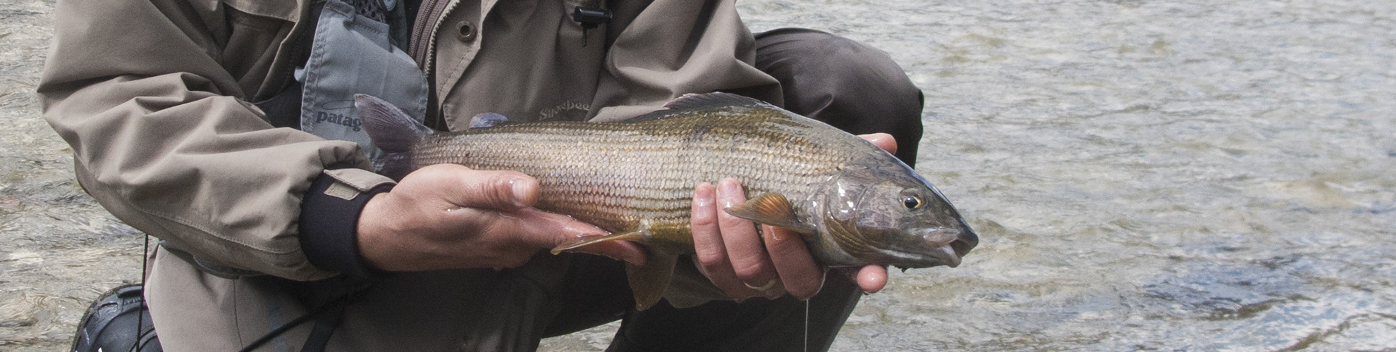 Rosen-fly-fishing-blog-00016