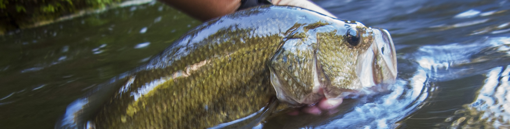 Rosen-fly-fishing-blog-0011