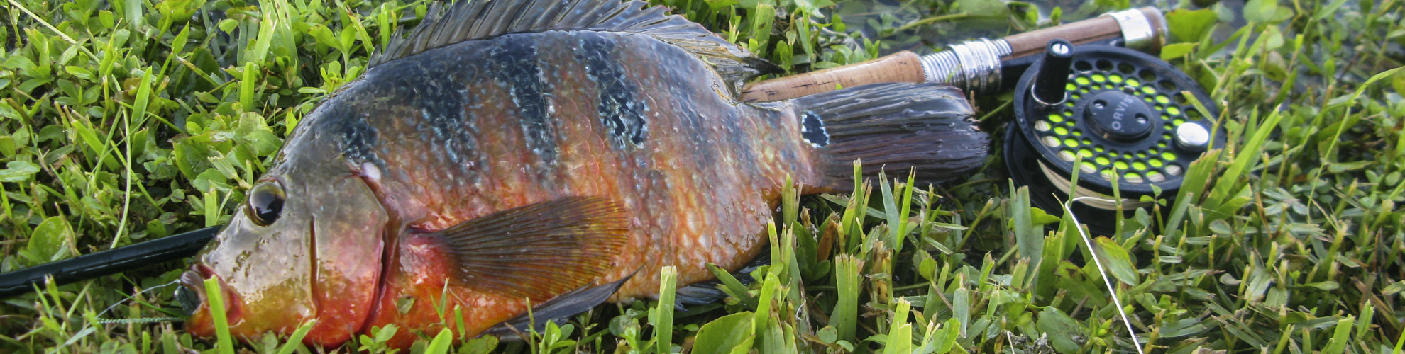 Rosen-fly-fishing-blog-0014