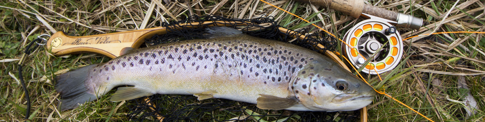 Rosen-fly-fishing-blog-0015