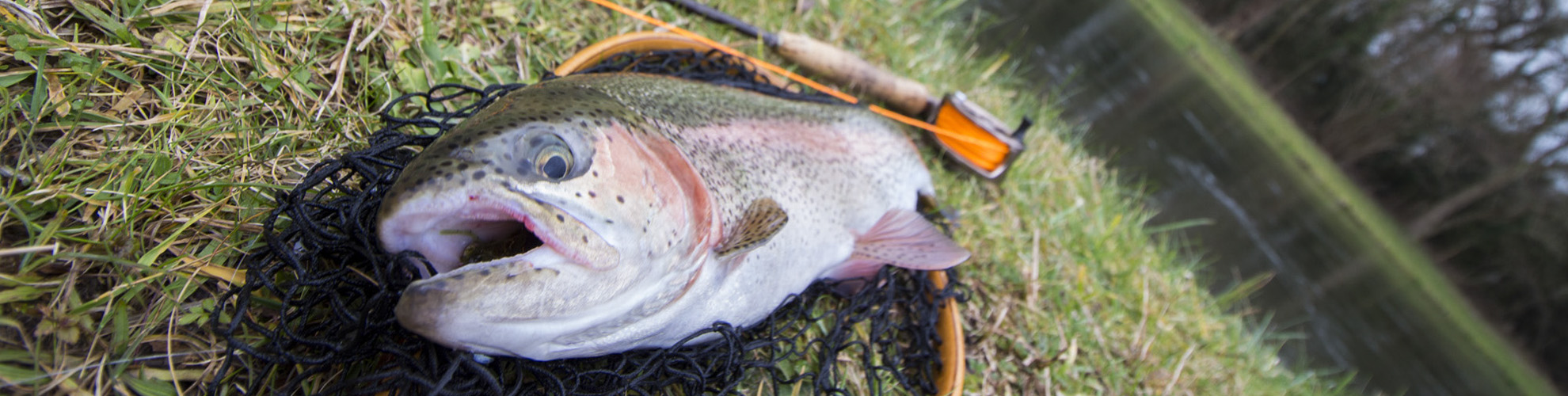 Rosen-fly-fishing-blog-0017
