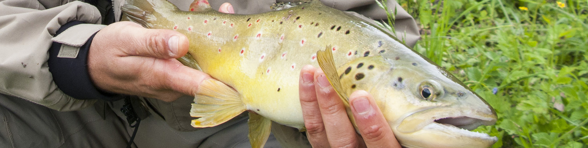 Rosen-fly-fishing-blog-11