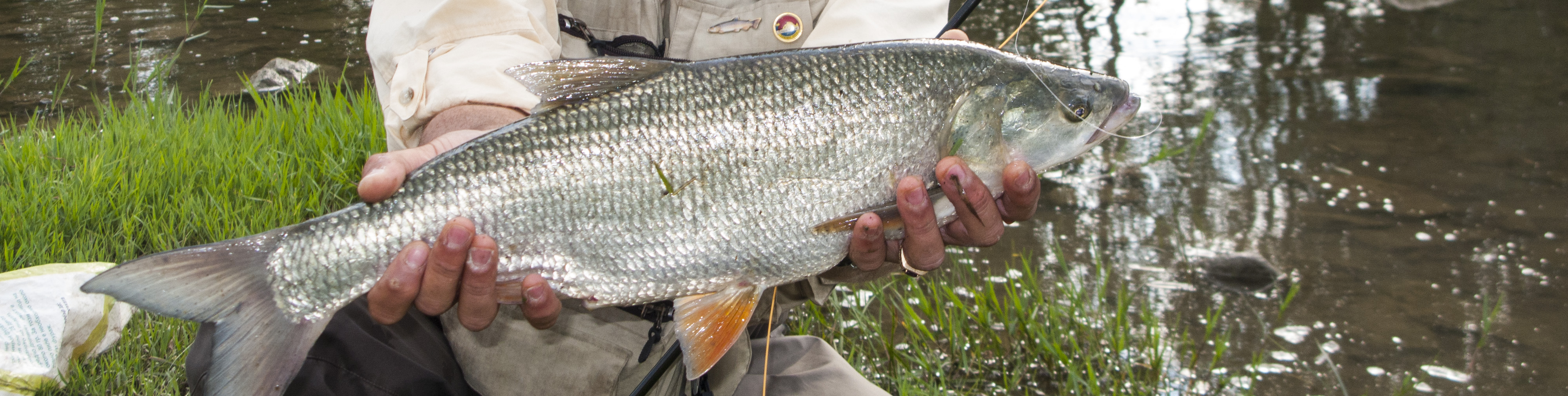 Rosen-fly-fishing-blog-15