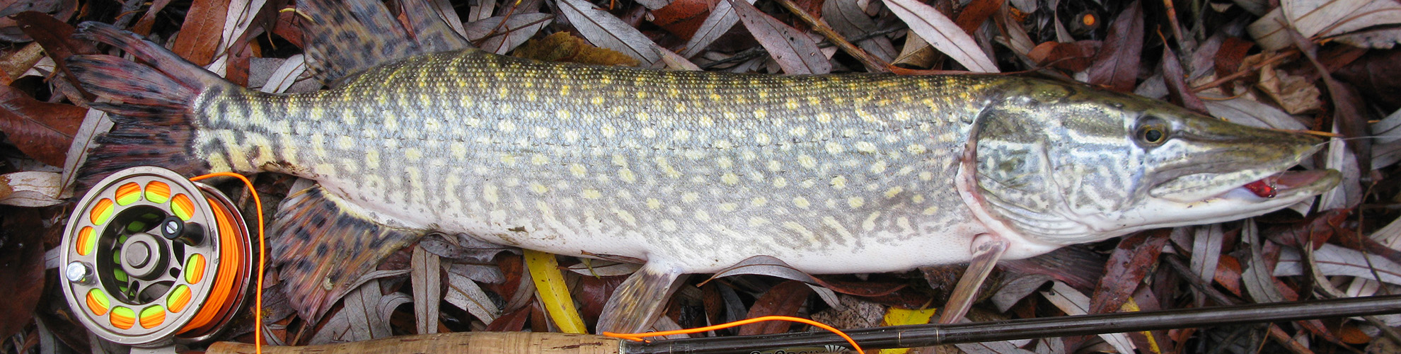 Rosen-fly-fishing-blog-18