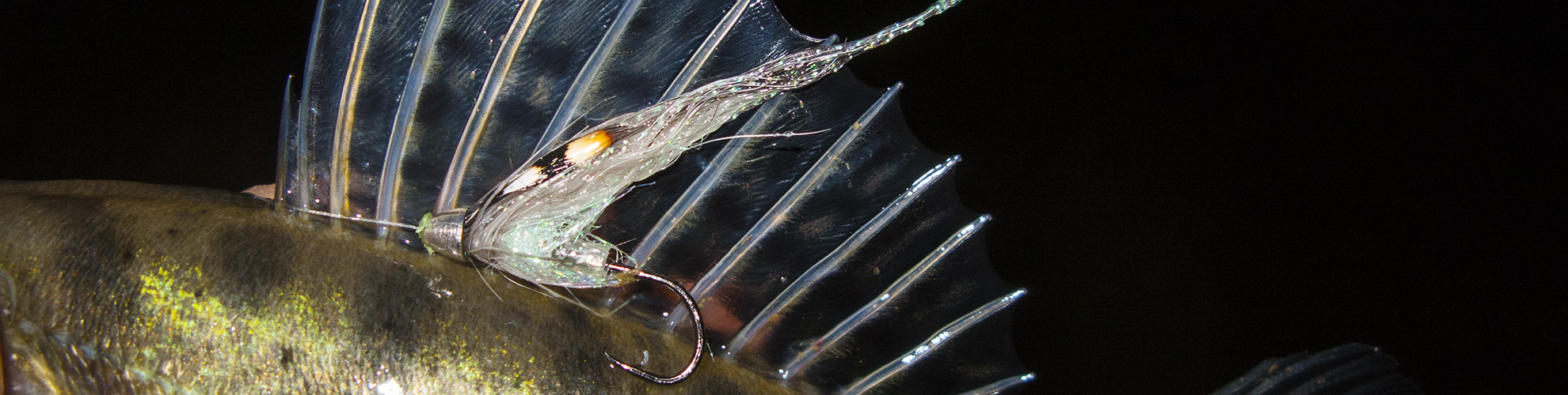Rosen-fly-fishing-blog-19