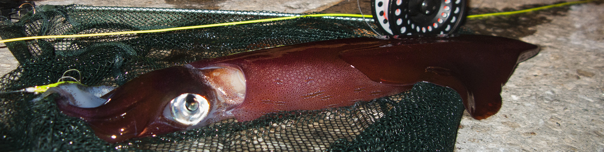 Rosen-fly-fishing-blog-21